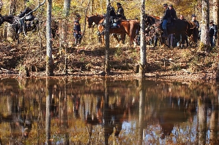 Cav through the trees